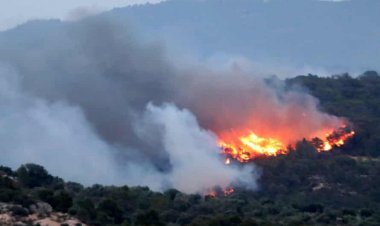 Firefighters bring northeastern Spain blaze under control