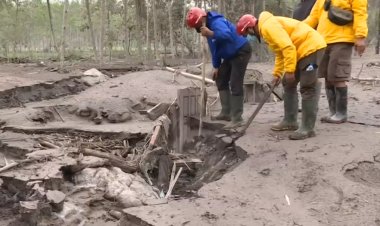 Indonesia volcano eruption death toll rises to 14