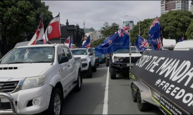 New Zealand Covid protest convoy jams streets near parliament
