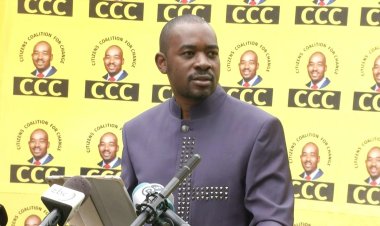 By-election wins raise Zimbabwe opposition hopes of governing