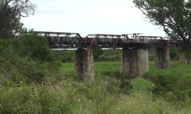 The South African luxury train hotel stuck in the savanna