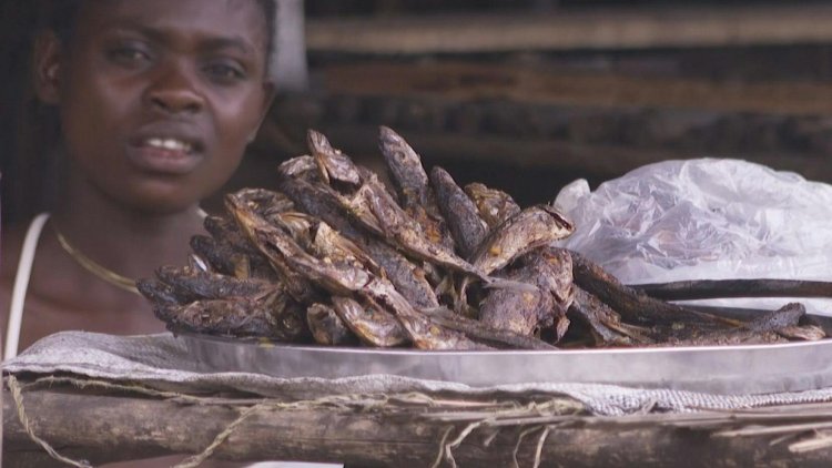 Famine looms on doorstep of DRC capital