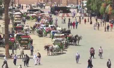 Morocco 'breathing again' as tourists back after Covid shutdown