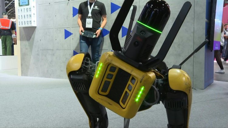 Despite more expensive money, European tech wants to keep growing