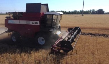 Russia occupies 22% of Ukraine farmland