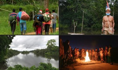 UN: Billions of people rely on wild species for food, fuel, income