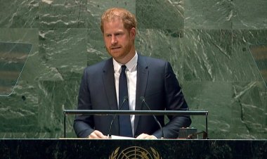 World democracy and freedom under assault, Prince Harry tells UN