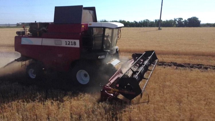 Russia occupies 22% of Ukraine farmland