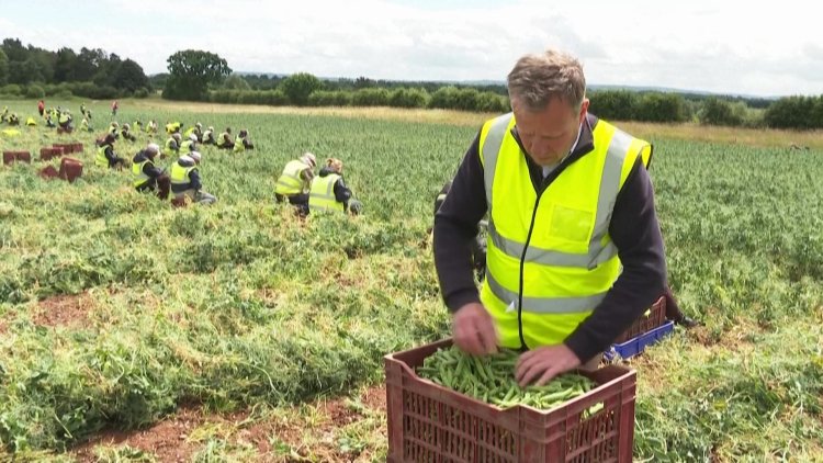 UK 'jobs miracle' turns into employers' nightmare