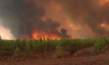 Arson suspected as huge French wildfire reignites