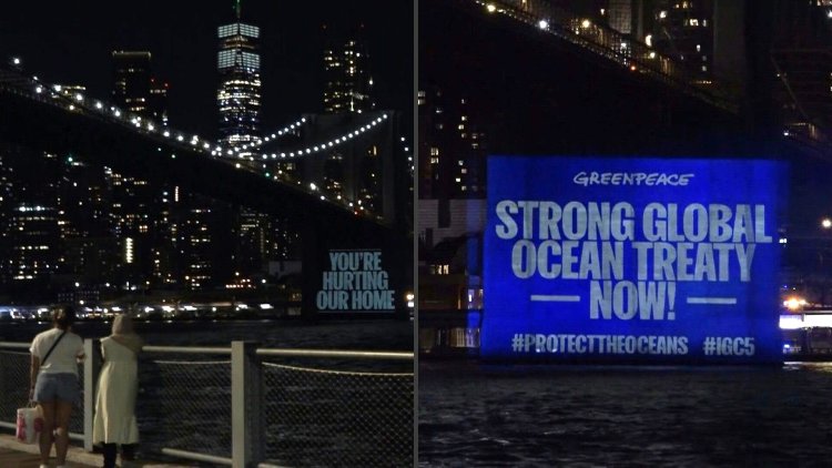 UN resuming talks on high-seas treaty amid growing concerns