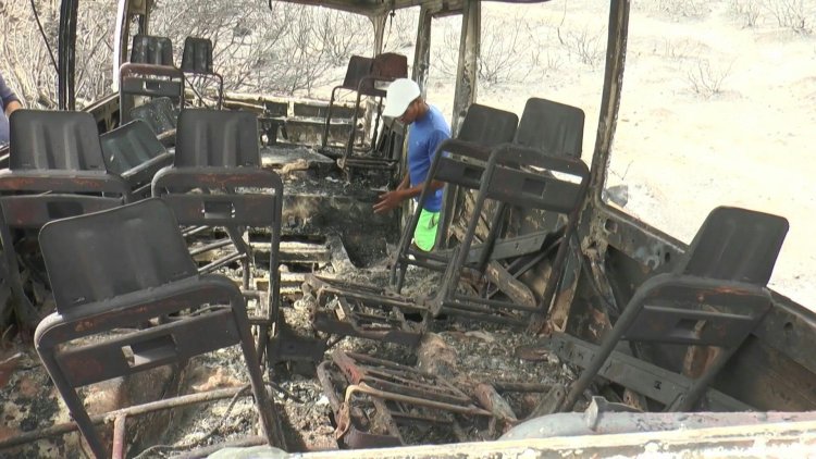 'Tornado of fire': Algeria forest blazes kill 38