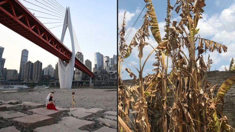 Half of China hit by drought in worst heat wave on record