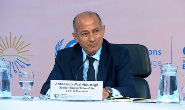 UN probes allegations of Egypt 'surveillance' at COP27