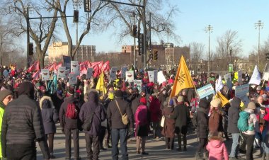Activists warn a toothless UN nature pact will fail