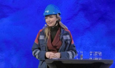 Europe's largest rare earths deposit discovered in Sweden