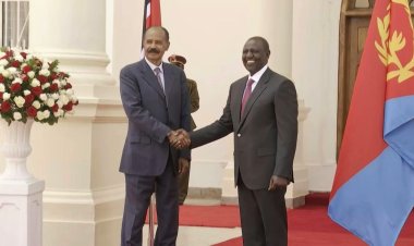 Eritrea leader calls Tigray rights abuse claims a 'fantasy'