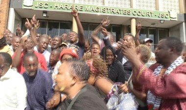 Zimbabwe Opposition Leader Freed