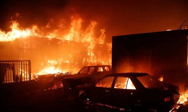 Chilean President Surveys Devastating Wildfires