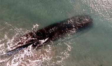 19th Century Shipwreck in Canada