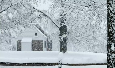 Northeast U.S. Blanketed in Snow Storm Chaos