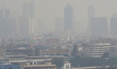 Bangkok Employees Work from Home