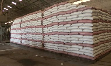 Zimbabwe Receives Russian Grain Amid Diplomatic Shift