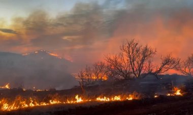 Texas Nuclear Plant Open Despite Wildfires
