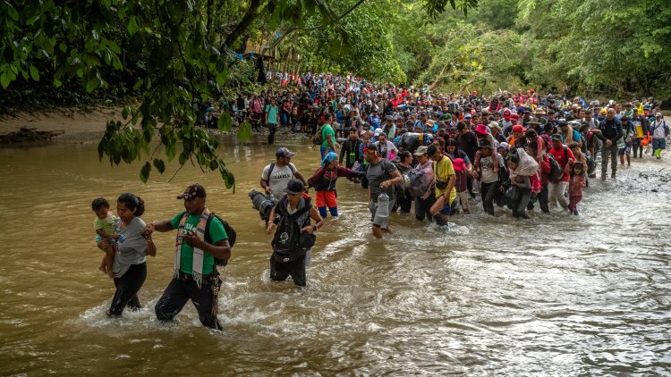 Panama Halts Doctors Without Borders in Darien Gap