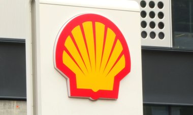 Shell's Climate Battle with Environmental Groups
