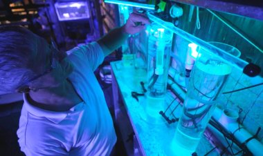 Venomous Risks: Life-Saving Work