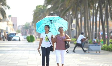 Mexico Heat Wave Claims 48 Lives Since March