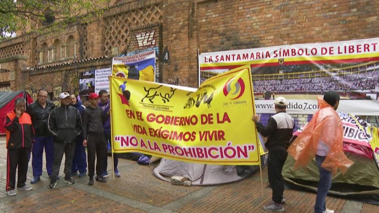 Colombia Bans Bullfighting After Congressional Vote