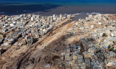Nigeria Floods Kill 80% of Zoo Animals in Borno