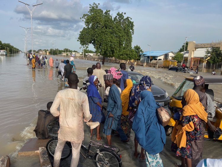 Nigeria Faces Crisis as Borno State Floods Hit Hard