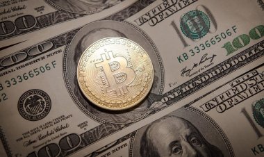 Bitcoin surges to record $89,000 after election
