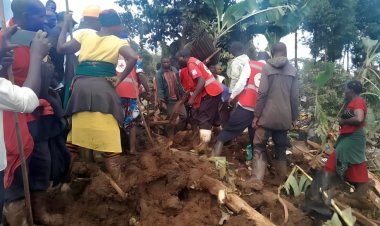Landslide in Uganda leaves 113 missing and 15 dead