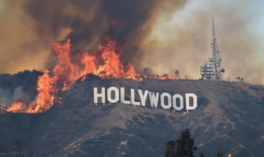 Los Angeles wildfires destroy 10,000 homes
