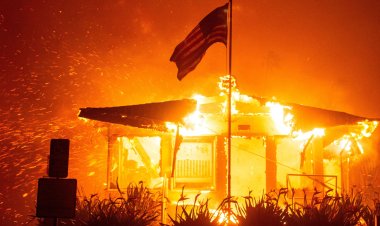 Los Angeles wildfire victims receive aid