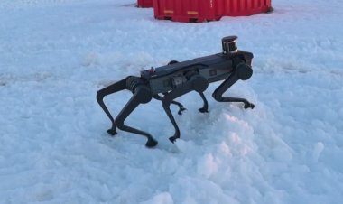 China tests six-legged robot dog in Antarctica