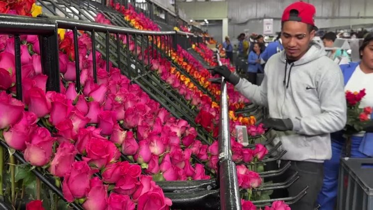 Colombia averts trade dispute with U.S.