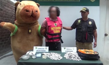 Peru police use capybara disguise in drug bust
