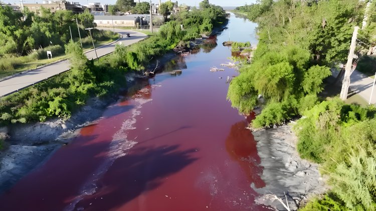 Buenos Aires stream turns blood-red