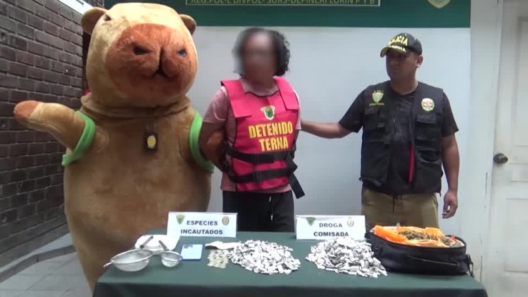 Peru police use capybara disguise in drug bust