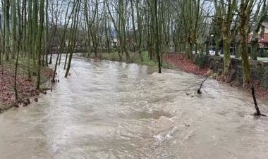 South Korea's Yoon freed but faces trial