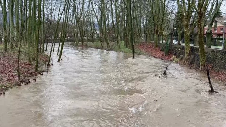 South Korea's Yoon freed but faces trial