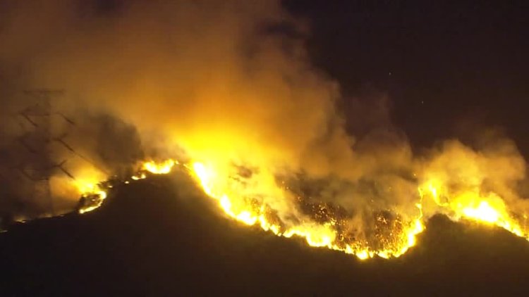 Wildfires force evacuations in Japan