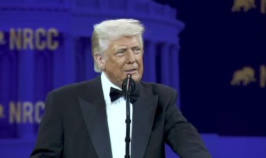 Trump threatens TSMC with 100% tax