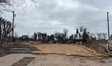 Pacific Palisades shows swift recovery after wildfire