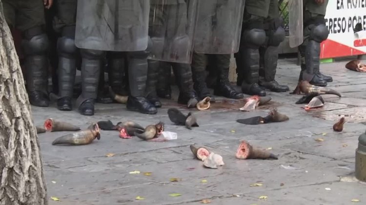 Butchers protest meat price hikes in La Paz